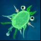 World Of Microbes Mod Apk