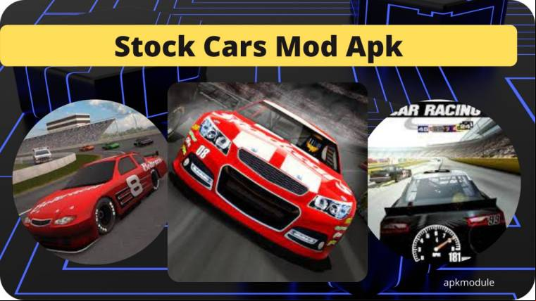 Stock